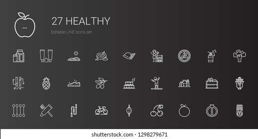 healthy icons set. Collection of healthy with tangerine, cherry, punching ball, bicycle, jumping rope, toothpaste, cotton swab, proteins. Editable and scalable healthy icons.