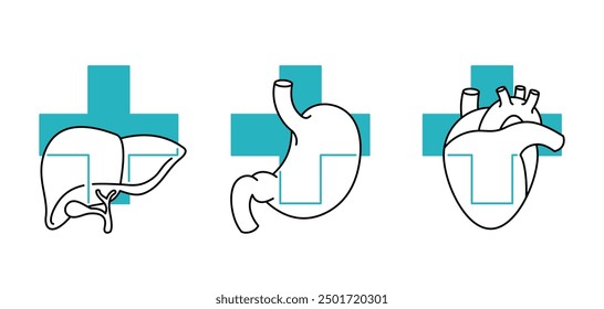 Iconos de órganos internos saludables en dos colores: hígado, estómago y corazón saludables. Pictogramas para medicamentos