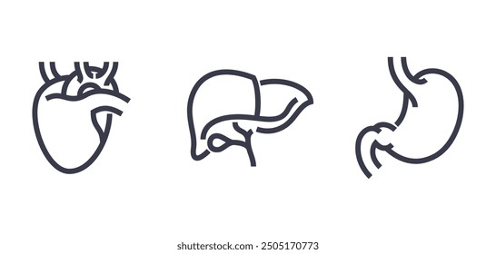 Healthy Internal Organs icons set in bold line - healthy liver, stomach and heart. Pictograms for medicines