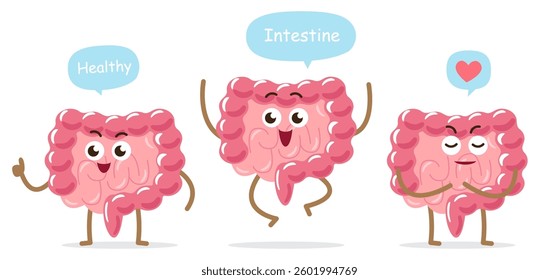 Healthy intestine cartoon characters . White isolated background . Vector .