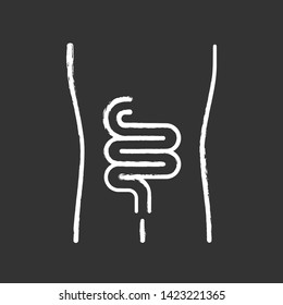 Healthy intestine chalk icon. Human internal organ in good health. People wellness. Functioning digestive system. Wholesome gastrointestinal tract. Isolated vector chalkboard illustration