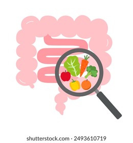 Healthy intestine with fruits and vegetables intestine magnifying glass vector.