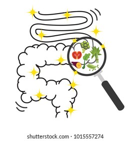 Healthy intestine with vegetables and unhealthy with bacteria cute cartoon healthy bowel, intestine magnifying glass Before and After , cartoon colorful vector illustration isolated white background