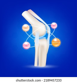 Healthy joint bone and Collagen and Chondroitin Glucosamine. Radius ring surrounds on blue background. Help heal arthritis knee. 3D realistic vector. Used for nutrition products food template design.