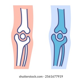 Healthy joint muscle x ray concept. Vector graphic design illustration