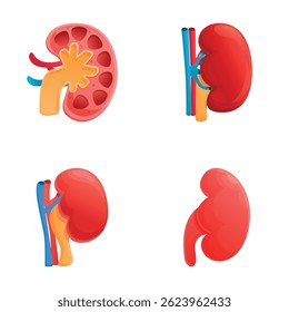 Healthy kidney icons set cartoon vector. Human kidney model. Healthcare concept