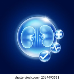 Healthy kidney inside glass bubbles glowing with medical icon cross sign, Heart pulse and Check mark. Medical health care innovation. Human anatomy organ translucent on blue background. Vector.