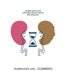 Healthy kidney and unhealthy disease kidney with polycystic. Check health of renal organ. Vector illustration
