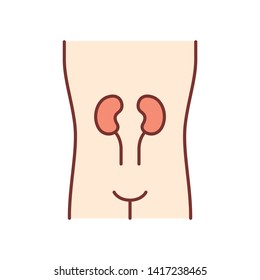 Healthy kidneys color icon. Human organ in good health. People wellness. Internal body part in good shape. Wholesome urinary system. Isolated vector illustration