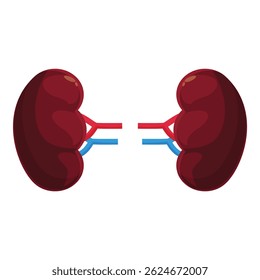 Healthy kidneys filtering blood and regulating body fluids, essential for urinary system health