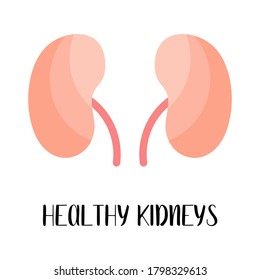 Riñones sanos. Urología. Ilustración plana vectorial. Perfecto para volante, folleto médico, banner, página de inicio, sitio web