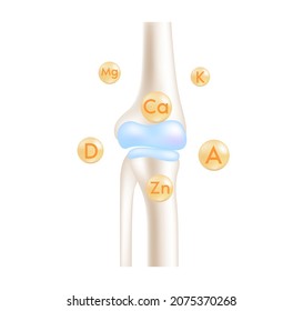 Healthy knee bone human bone anatomy. Skeleton x ray scan concept. Vitamins and Minerals Calcium therapy. Medical or healthcare concept. Isolated on white background. Realistic 3d Vector.