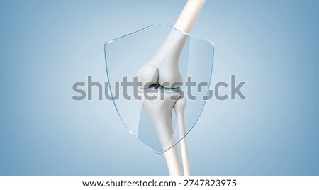 Healthy knee joint protected by transparent shield. Orthopedic joint care and prevention concept. Realistic vector illustration