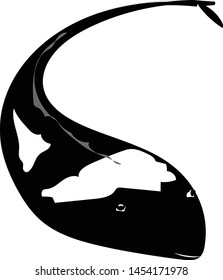 
Healthy koi is a cool logo