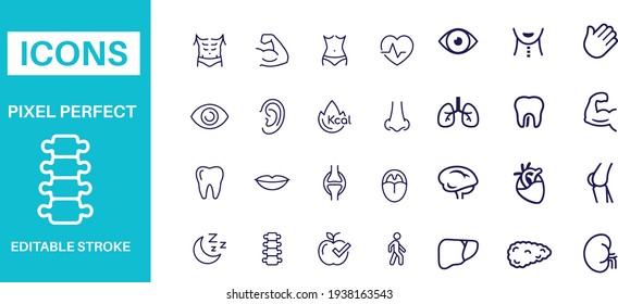 Healthy Lifestyle icons vector design 