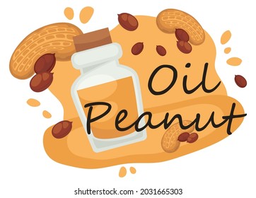 Healthy lifestyle and product for balanced dieting, peanut oil in glass bottle and pieces of crunchy nut. Supplement for food, nutrition and care of body. Vegan vegetarian meal. Vector in flat style