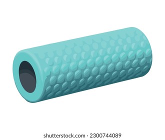 Healthy lifestyle yoga foam roller icon isolated