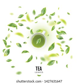 Healthy Light Green Tea Cup with Fresh Green Leaves Flat Lay