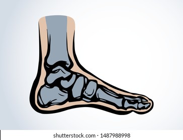 Healthy limb posture section element diagnostic concept on white text space. Black line hand drawn hip medial care logo pictogram emblem chart in doodle art vintage style. Analysis abstract side view