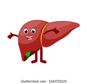 Healthy Liver Cartoon Characte Standing Happy Stock Vector (royalty 