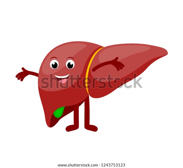 健康な肝臓の漫画の特徴 幸せな肝臓 健康な臓器のコンセプト 白い背景にベクターイラスト のベクター画像素材 ロイヤリティフリー