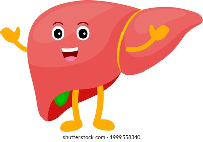 Healthy Liver Cartoon Character Standing Happy Stock Vector (Royalty ...