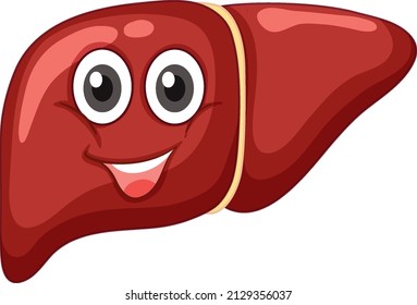Hígado saludable con expresión facial en ilustración de fondo blanco