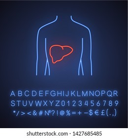 Healthy liver neon light icon. Human organ in good health. Functioning digestive gland.  Wholesome gastrointestinal tract. Glowing sign with alphabet, numbers and symbols. Vector isolated illustration