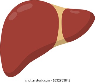 Hígado sano. Órgano humano interno rojo. Medicina y análisis. Ilustración plana de dibujos animados