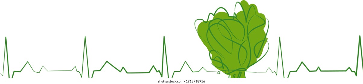 Healthy living concept with fresh spinach vegetable inside an ECG or EKG life line as a medical icon of eating good food and exercising the body for human health and fitness on a white background. 