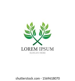 Healthy logo natural leaf vector