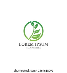Healthy logo natural leaf vector