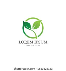 Healthy logo natural leaf vector