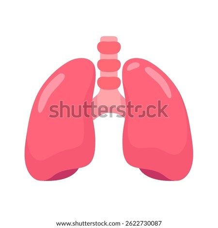 Healthy lung structure. Human anatomy study in cartoon style.