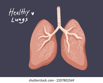 Healthy Lungs Human Breathing Organ. Vector Illustration Of Respiratory System With Cartoon Flat Art Style Color.