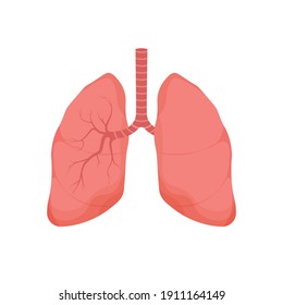 Gesunde Lungen - menschliches inneres Organ. Atemwegssymbol. Anatomie, Medizin-Konzept. Gesundheitswesen. Vektorgrafik einzeln auf weißem Hintergrund.