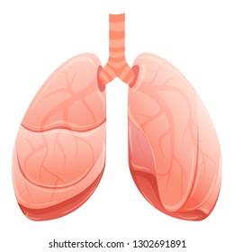 Healthy lungs icon. Cartoon of healthy lungs vector icon for web design isolated on white background