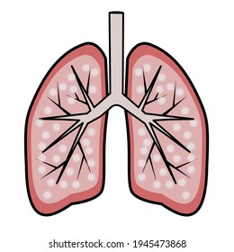 healthy lungs inside on white background