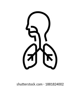 vector de icono de línea de pulmones sanos. signo de pulmones sanos. símbolo de contorno aislado ilustración negra