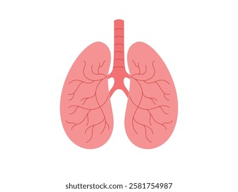 Healthy lungs not damaged by smoking, Human internal organ, anatomy, body part