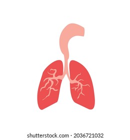gesunde Lunge, Vektorgrafik der digitalen Gestaltungsgrafik 2d hd Illustration