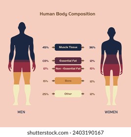 healthy male and female body composition,Human body, isolated flat vector illustration, info graphic diagram,  silhouettes,Percentage proportions, muscle tissue,fat,storage fat,bones and other,