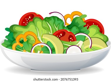 Healthy meal with fresh vegetable salad bowl illustration