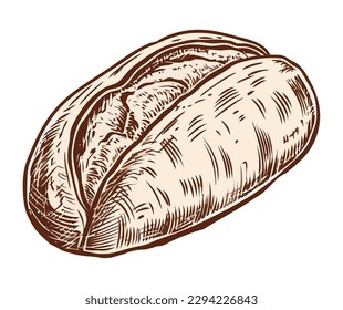 Healthy meal sketch fresh bread isolated