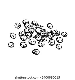 healthy millet hand drawn. seed wheat, vector corn, barley crop healthy millet vector sketch. isolated black illustration