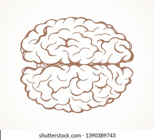 Healthy neuron sense logic part on light background. Line black ink hand drawn ill nerve cortex brainy picture logo diagram pictogram in doodle art retro cartoon style. Cross section side macro view