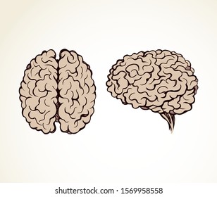Healthy neuron sense logic part on light background. Line black ink hand drawn ill nerve cortex brainy picture logo diagram pictogram in doodle art retro cartoon style. Cross section side macro view