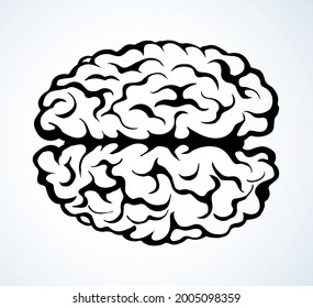 Healthy neuron sense logic part on light background. Line black ink hand drawn ill nerve cortex brainy picture logo diagram pictogram in doodle art retro cartoon style. Cross section side macro view
