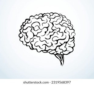Healthy neuron sense logic part on light background. Line black ink hand drawn ill nerve cortex brainy picture logo diagram pictogram in doodle art retro cartoon style. Cross section side macro view