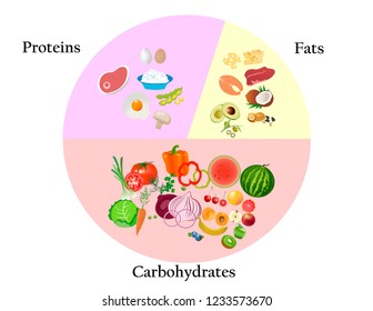 Healthy Nutrition Human Body Food Macronutrients Stock Vector (Royalty ...